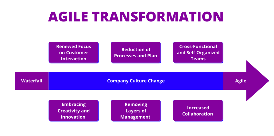 Agile Transformation From Waterfall to Agile